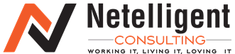 Netelligent Consulting